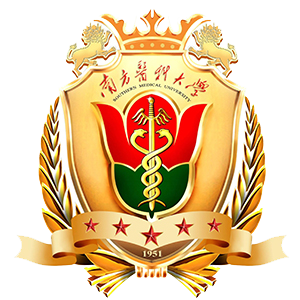 Bachelor Degree | Southern Medical University | Guangzhou city Logo