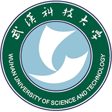 Wuhan University of Science and Technology Image